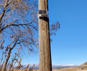 Pole with sensor
